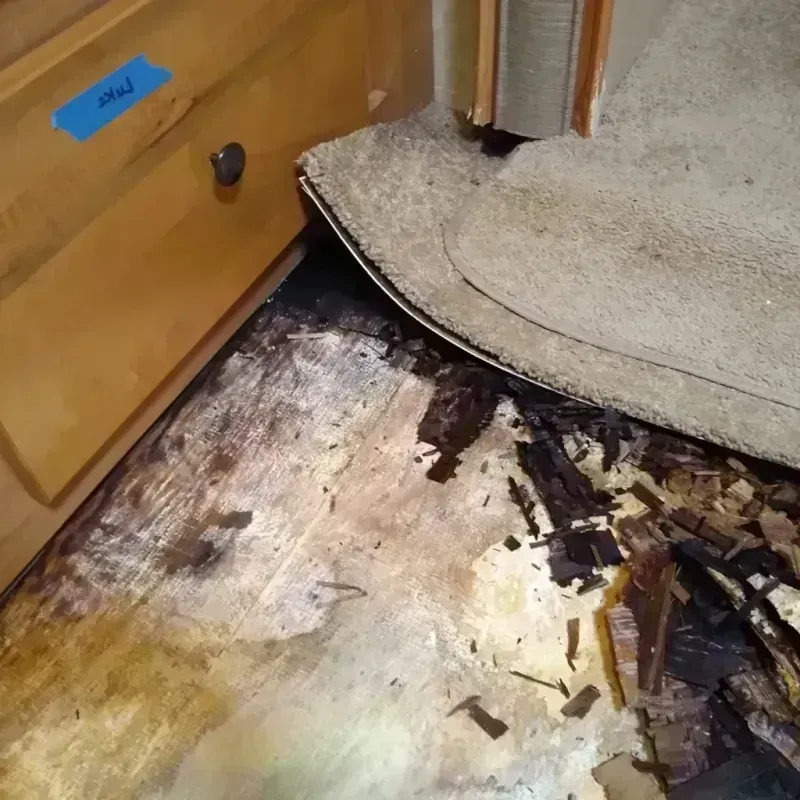 Wood Floor Water Damage in Bay County, FL